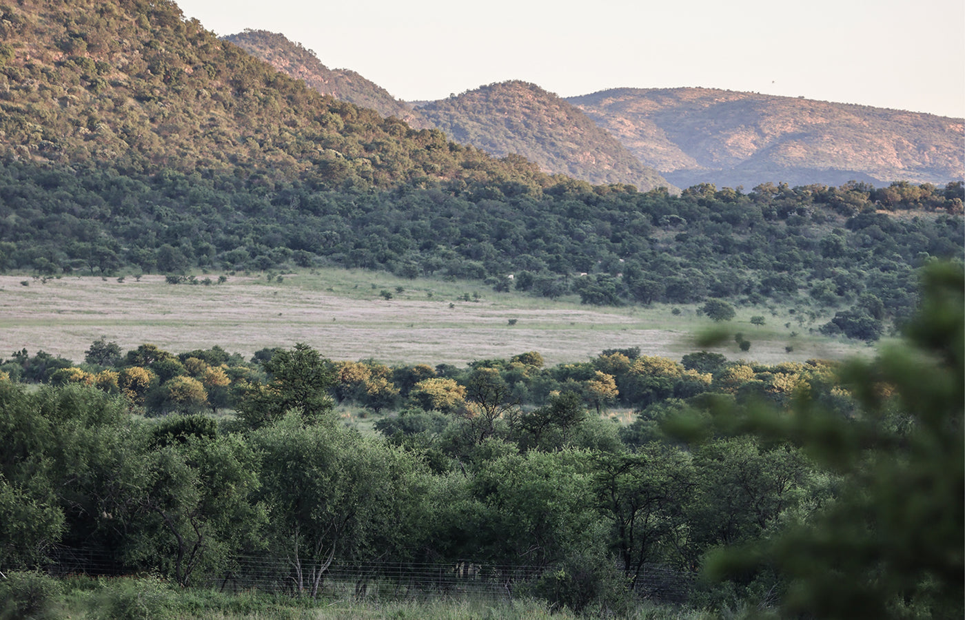 Reduce, Reuse, and Rest Easy with Enkay’s sustainable manufacturing practices