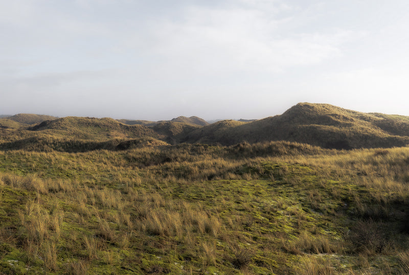 Plains