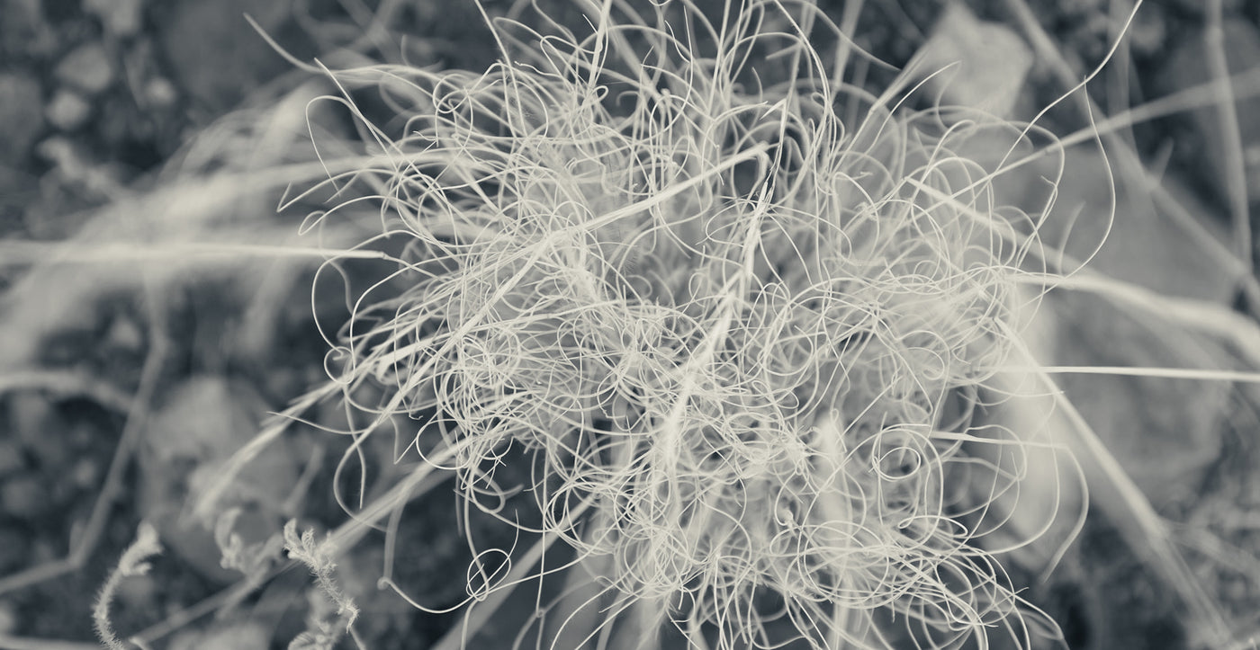 The Signature Scent of Enkay: A Chat with Na Nin